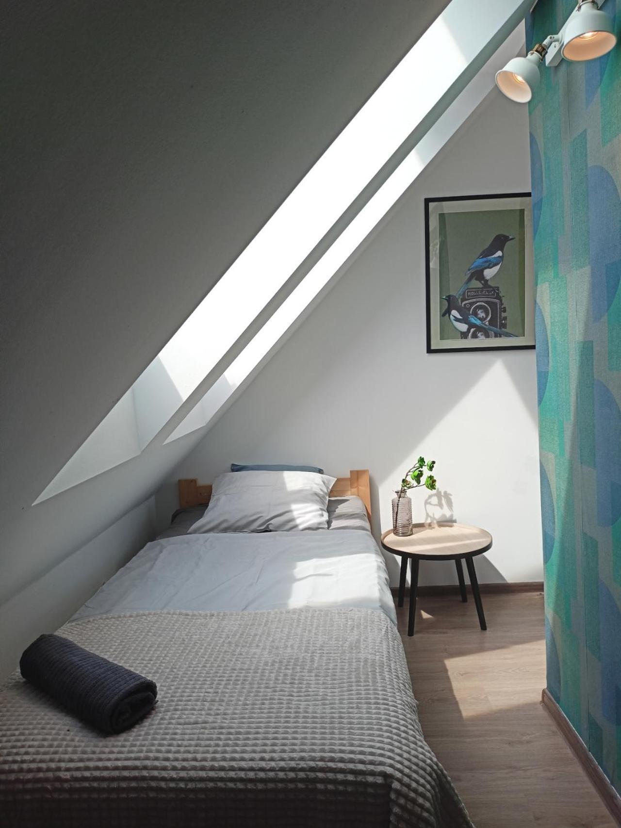 Lemuria Pokoje Hostel Chojnowska A Legnica Eksteriør billede