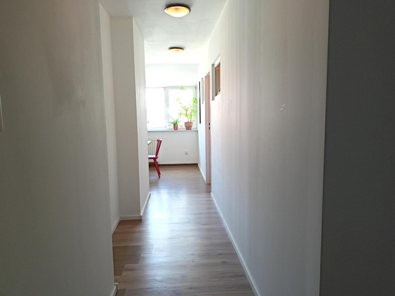 Lemuria Pokoje Hostel Chojnowska A Legnica Eksteriør billede