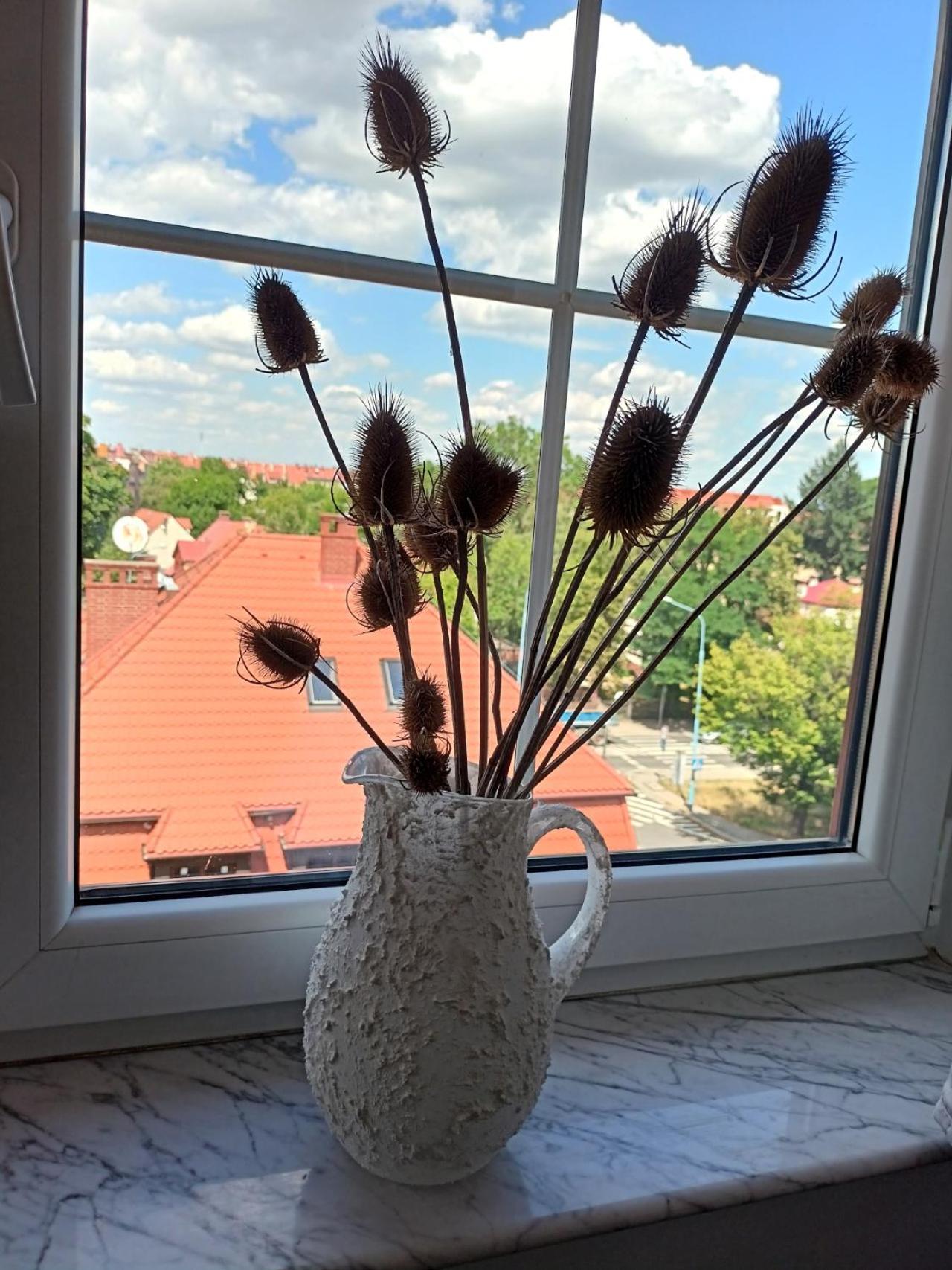 Lemuria Pokoje Hostel Chojnowska A Legnica Eksteriør billede